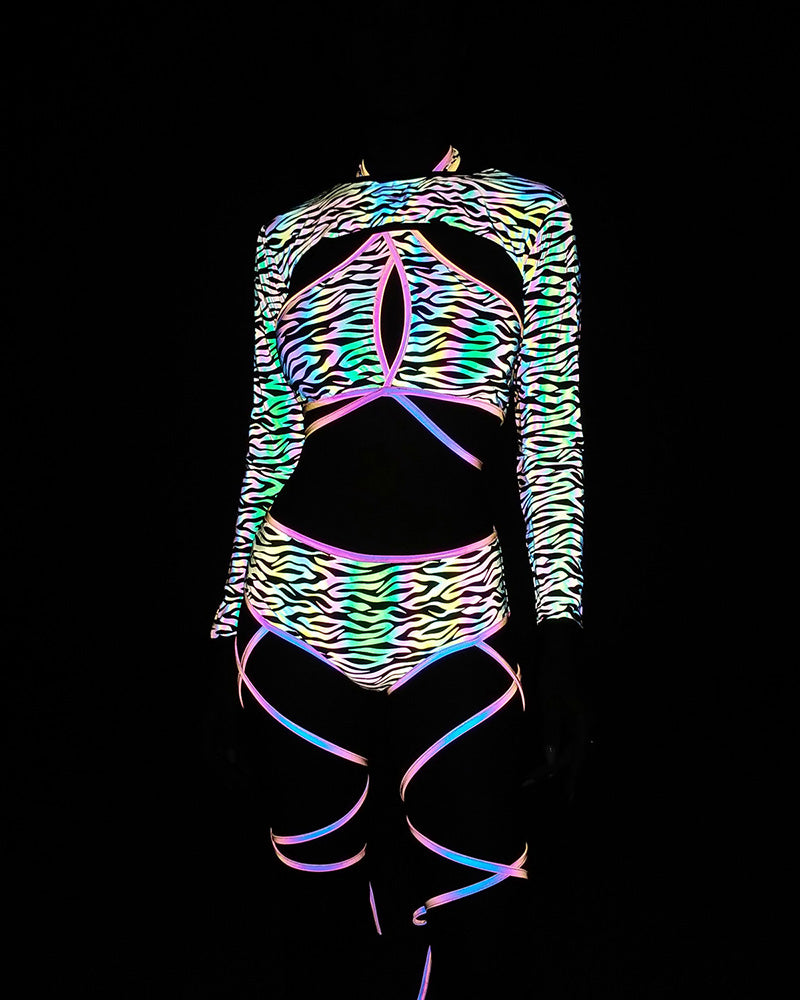 Mushroom and Zebra Print Reflective Bikini Set